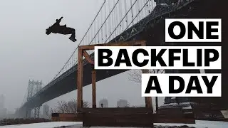 2011 - One Backflip A Day