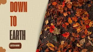 Earth & Leaves &ndash; Elemental Earth Ambience | Grounding Nature Sounds for Focus & Renewal