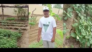 Movile Village Mart Business Plan | Krishnateja Kotamreddy | MVM