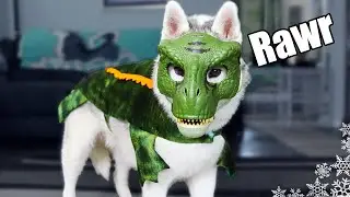 Мои собаки примеряют самые смешные костюмы для собак на Хэллоуин 🎃