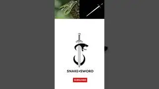 Snake+Sword Logo Design
