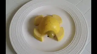 How to make apple turtle