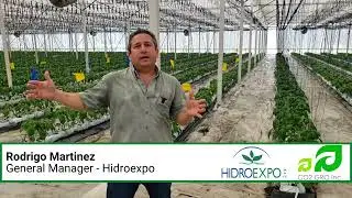 Hidroexpo Testimonial for CO2 GRO Inc. (August 2022)