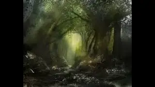 El Señor de los Anillos LCG: A través del Bosque Negro #2