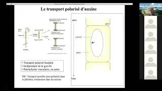 Croissance et Développement des plantes S5 | Partie 2