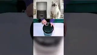 Smart Pet Feeder | Automatic Feeding Made Easy in 2025 🐾 (84 % OFF) #PetFeeder #PetCare #SmartHome