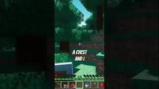 Lost in the Pillager Raid! 😱 #shorts