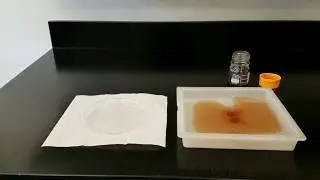 Superhydrophobic/Oleophilic Absorbent Material for Crude Oil Cleanup