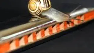 HARMONICA SLOW BLUES G