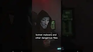 WARNING: New Malware Steals Crypto from Piracy Users! 🚨
