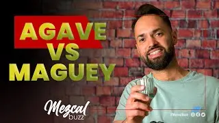 Agave vs. Maguey: What's the Difference? Discover the Truth Behind Mezcal's Iconic Plant