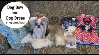Dog Bow and Dog Dress Shopping Haul