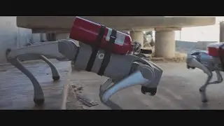 Meet the AI-powered robotic dog ready to revolutionize emergency response