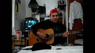 after the gold rush  neil young acoustic cover