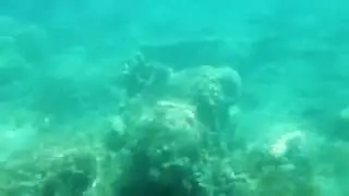 Underwater at java sea a thousand island