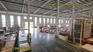 Plywood Veneer Paving Line | Pre-Press Veneer Paving Machine for Plywood Production WA+8615963347203