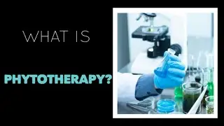 What is Phytotherapy?