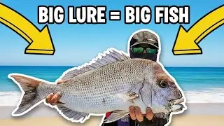 PERSISTENCE PAYS OFF! BIG LURE, BIG FISH!