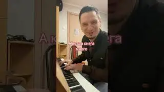 Снежное настроение #music #piano #jazz #pianomusic #musica #юмор #pianocover #прикол