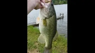 A Good Day of Fishing 25Apr15