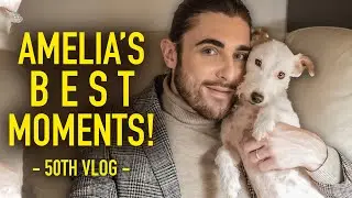 Amelia's Best Moments! 50th MOVE TO ITALY VLOG EPISODE