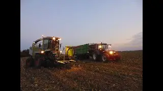 ☆Kukurydziane Show w GR Krajewski☆ MF ☆ Claas ☆ New Holland☆