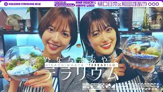 【もうすぐ卒業】樋口・和田ラスト企画！2人でテラリウム作ってみた♪
