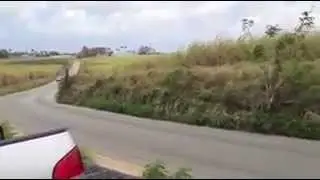 4 Piston 2.0L k20 in Barbados ready for rally action.