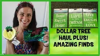 DOLLAR TREE HAUL PLUS.....GREAT FINDS.