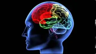Financial Success Hypnosis