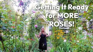 August Rose Cottage Garden Tour | Digging and Dividing for More Roses