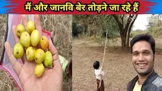मैं और जानवि बेर तोड़ने जा रहे हैं || ber todne ja rahe hai