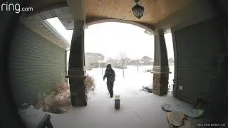 Fedex delivery gone wrong