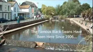 One Summer Day in Dawlish.wmv