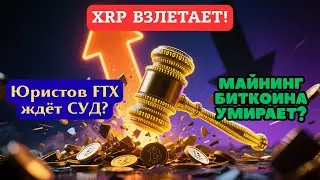 Fenwick: обвинения по FTX | XRP лидирует перед ETF | Доходы майнеров | 112 компаний защищают код