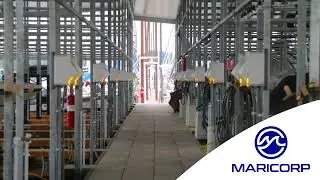 MariCorp US Project: Scott's Landing Marina