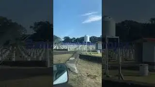 Visitando a Rancho Las Trojes 🐔🐓por unos animalitos