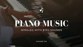 20 Minutes of Relaxing Piano Music with Bird Sounds | Calming Nature Soundscape for Relaxation