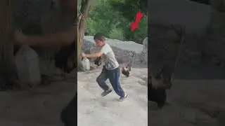 Xo&rsquo;roz bilan Jang.Очень смешно