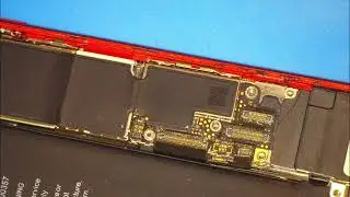 Rozbieram IPhone 8 - Czy będzie widać co jest popsute