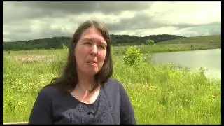 A Bird Blind for Fernald Nature Preserve