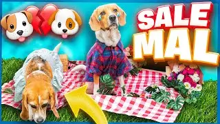 NUESTRA MASCOTA TIENE SU PRIMERA CITA Y NO SALIÓ COMO ESPERÁBAMOS 🐶💔🐶