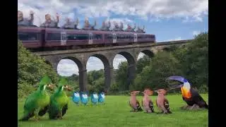 Boo Boos On Top Of The Train Tittifers Watching The Train On The Viaduct