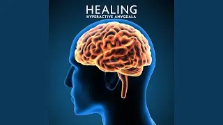 Reverse Your Overactive Brain