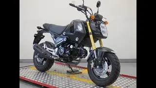 43940 HONDA GROM 始動動画 Stock Exhaust Sound / Walk Around