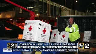 Over 500 injured in Las Vegas Massacre