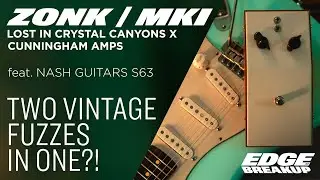 Cunningham Amps ZONK MKI &mdash; Lost in Crystal Canyons
