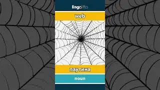 🇬🇧🇷🇺 web - паутина : learn English : давайте учить английский : vocabulary builder