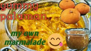 How to Make Mandarin Orange Jam (marmalade)