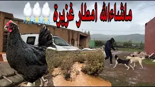 يوم من المطر الغزير ماشاءالله  , العمل لاينتهي رغم المطر, اجواء رائعة رائعه في المنطقة